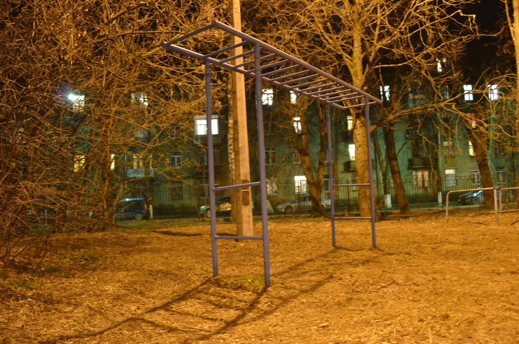 Pull Up Bar at Calisthenics Park at улица Ломоносова, Жуковский – photo 9 of 10