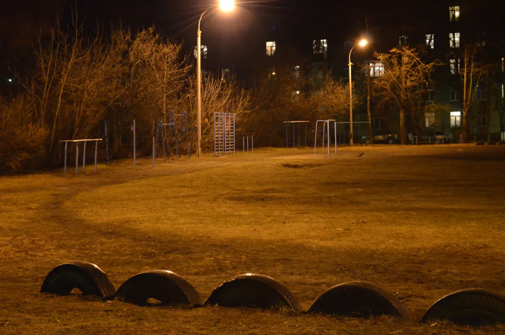 Pull Up Bar at Calisthenics Park at улица Ломоносова, Жуковский – photo 5 of 10