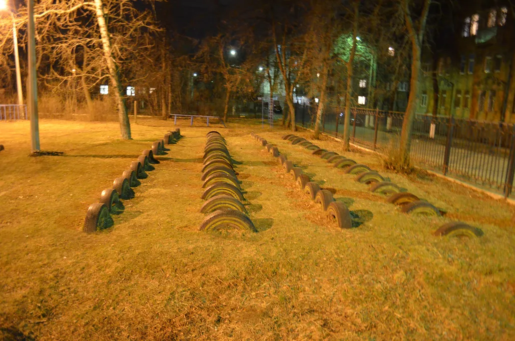 Monkey Bars at Calisthenics Park at улица Ломоносова, Жуковский – photo 7 of 10