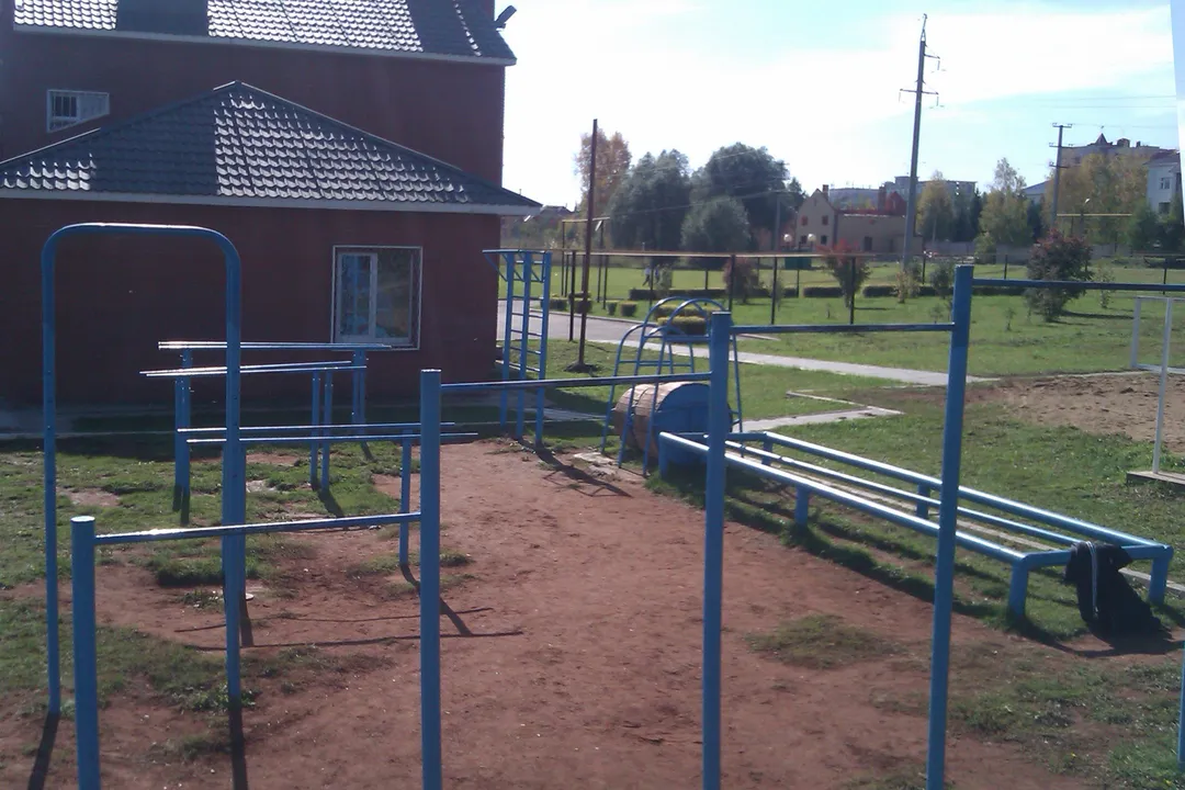 Рукоход на площадке Calisthenics Park at улица Шевченко, Альметьевск – фото 3 из 3