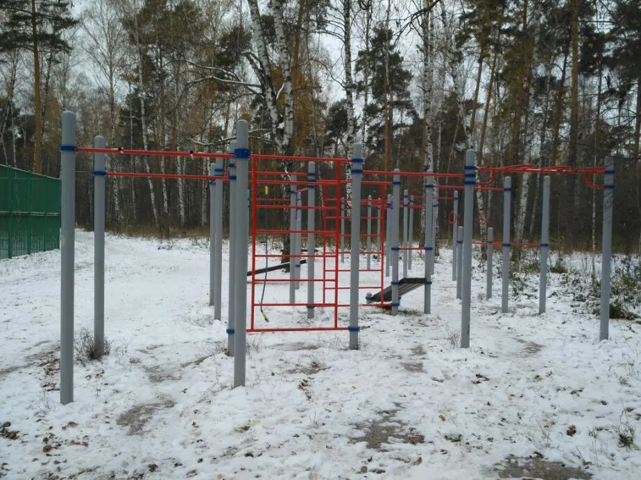 Bară de tracțiuni la Calisthenics Park at 2-й Пехотный переулок, Москва – fotografia 1 din 8
