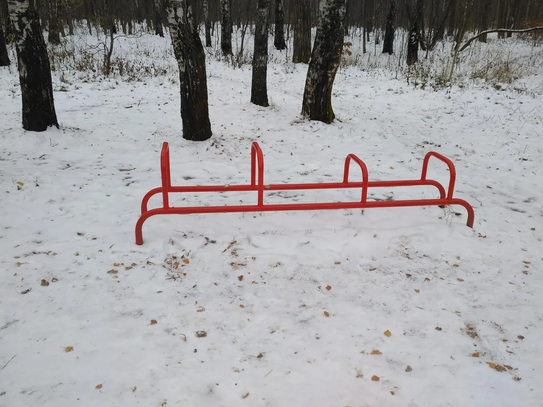 Monkey Bars la Calisthenics Park at 2-й Пехотный переулок, Москва – fotografia 3 din 8