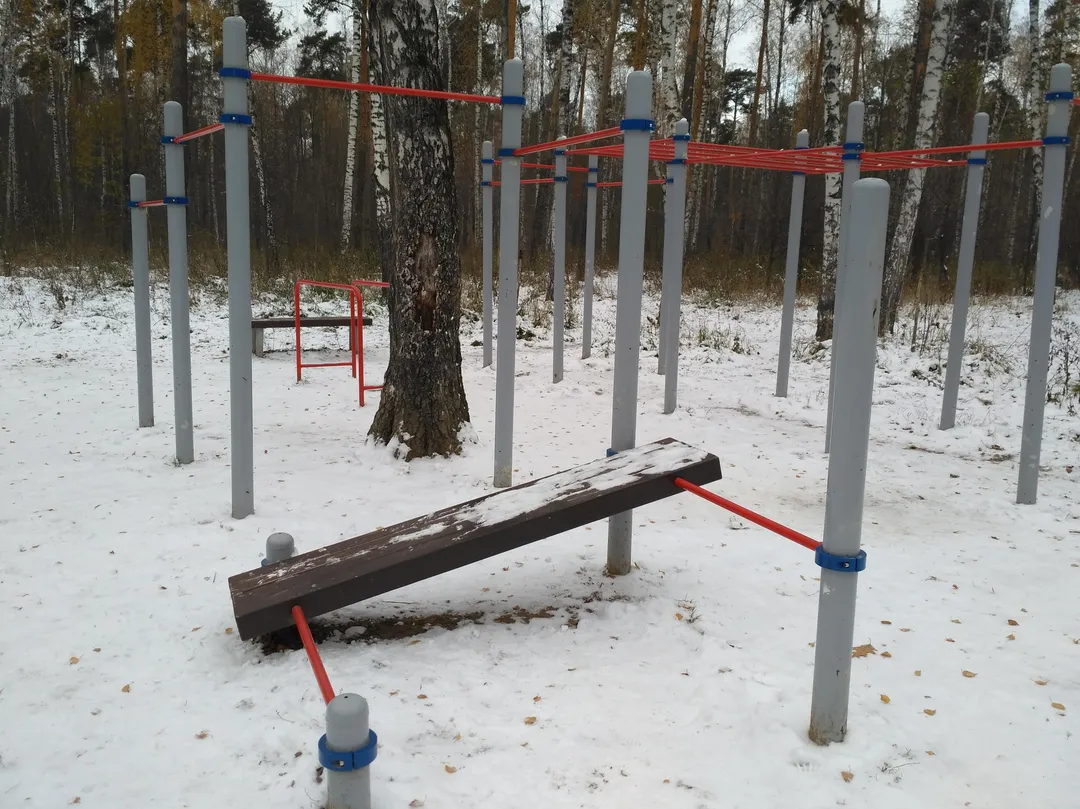 Monkey Bars la Calisthenics Park at 2-й Пехотный переулок, Москва – fotografia 8 din 8