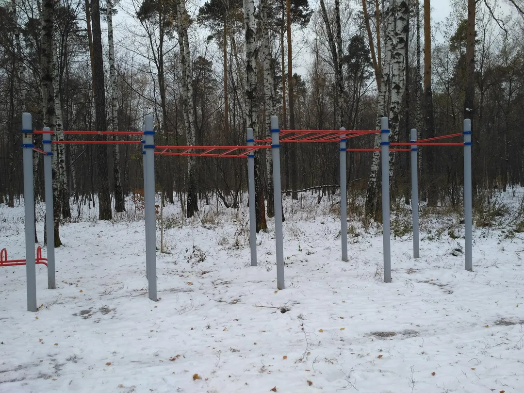 Spalier la Calisthenics Park at 2-й Пехотный переулок, Москва – fotografia 4 din 8