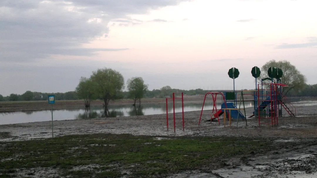 Monkey Bars at Calisthenics Park at Окское шоссе, городской округ Рязань – photo 3 of 3