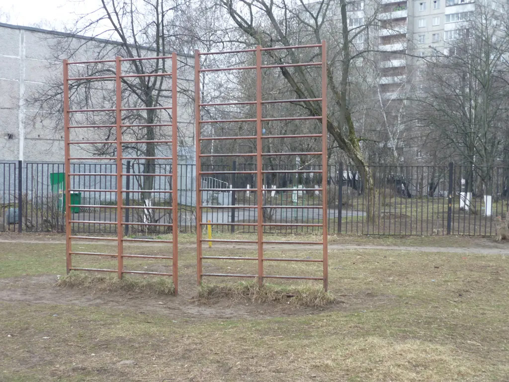 Bară de tracțiuni la Calisthenics Park at улица Дугина, Жуковский – fotografia 5 din 8