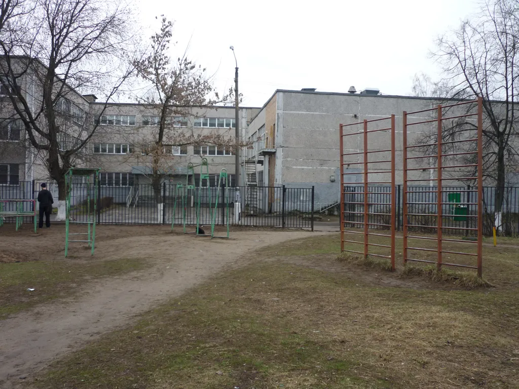 Monkey Bars la Calisthenics Park at улица Дугина, Жуковский – fotografia 7 din 8