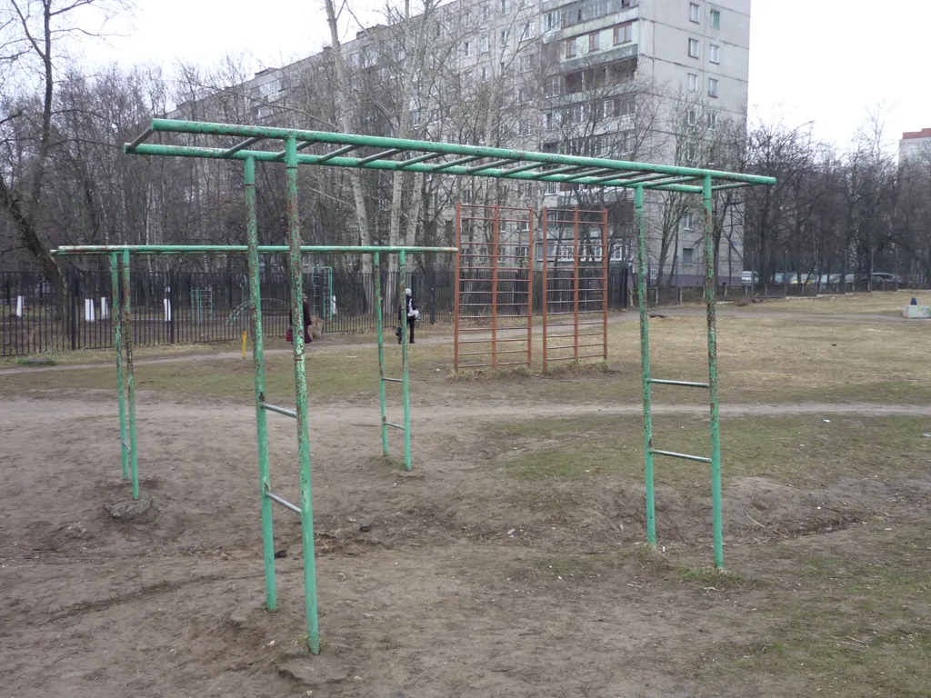 Monkey Bars la Calisthenics Park at улица Дугина, Жуковский – fotografia 3 din 8