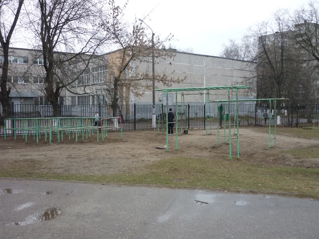 Bare paralele la Calisthenics Park at улица Дугина, Жуковский – fotografia 6 din 8