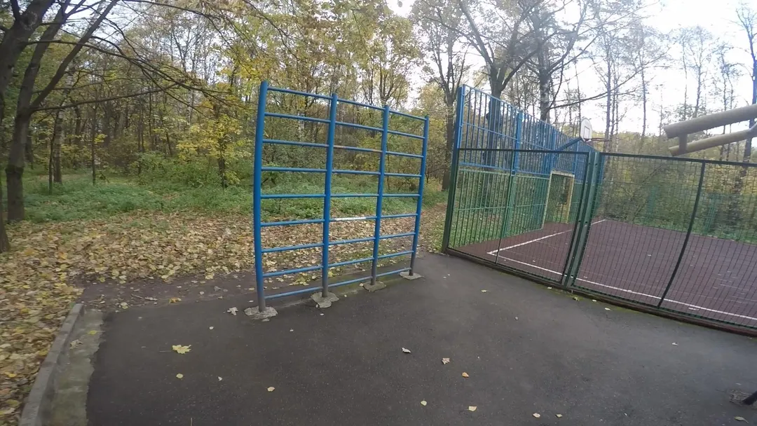 Monkey Bars at Calisthenics Park at Зелёная улица, Химки – photo 3 of 4