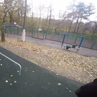 Calisthenics Park at Зелёная улица, Химки - thumbnail 4