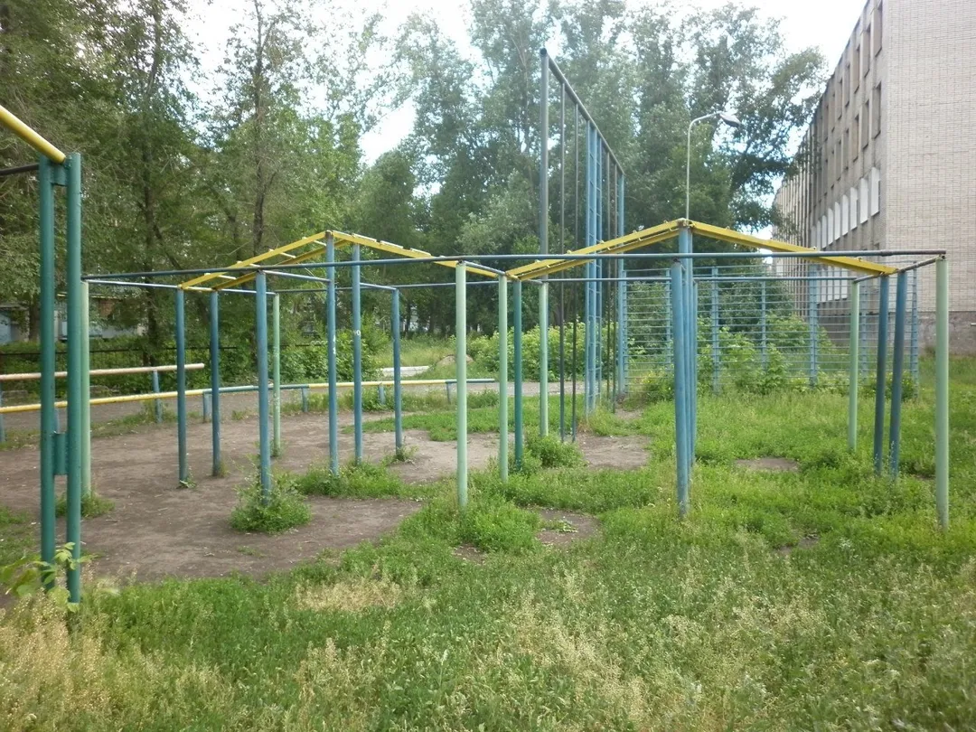Шведская стенка на площадке Calisthenics Park at улица Сергея Васильева, Курган – фото 4 из 5