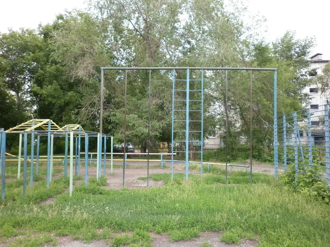 Рукоход на площадке Calisthenics Park at улица Сергея Васильева, Курган – фото 3 из 5