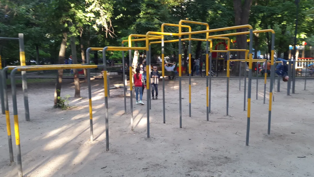 Pull Up Bar at Calisthenics Park at Пушкинская улица, Ростов-на-Дону – photo 1 of 7