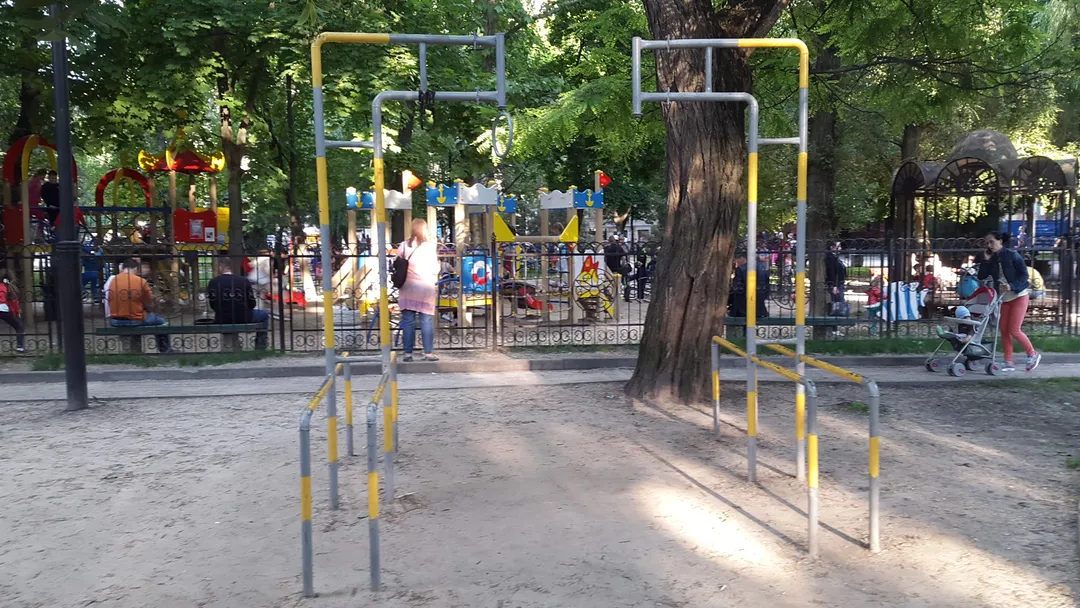 Parallel Gym Bars at Calisthenics Park at Пушкинская улица, Ростов-на-Дону – photo 6 of 7