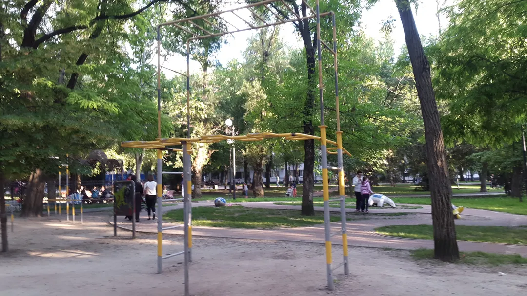 Monkey Bars at Calisthenics Park at Пушкинская улица, Ростов-на-Дону – photo 7 of 7