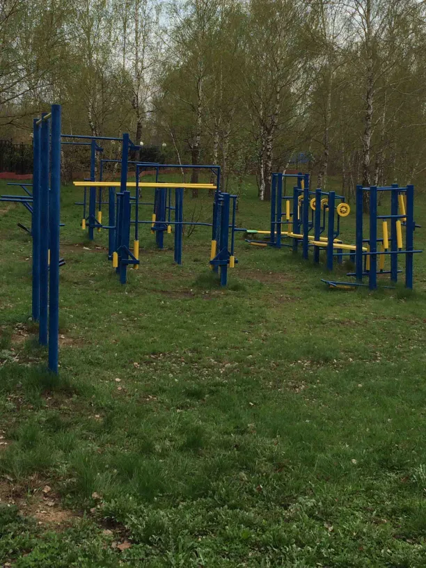 Barres parallèles à Calisthenics Park at Янтарь, Москва – photo 2 sur 4