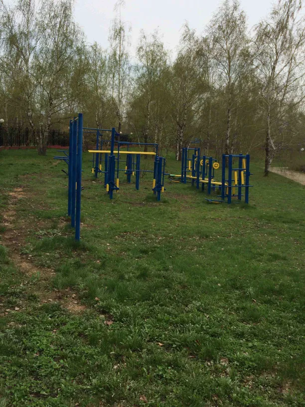 Barre de traction à Calisthenics Park at Янтарь, Москва – photo 3 sur 4