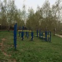 Calisthenics Park at Янтарь, Москва - thumbnail 3