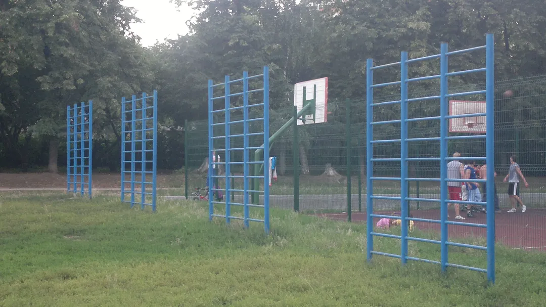 Sbarra per trazioni presso Calisthenics Park at 6-я линия, Рязань – foto 1 di 4