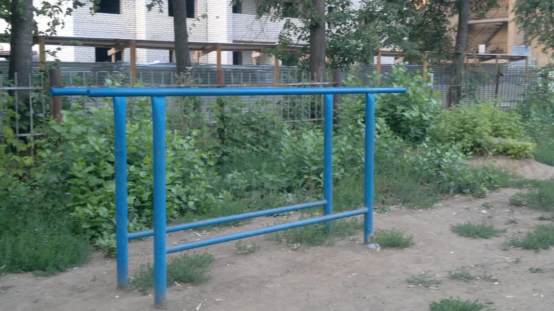 Spalliera presso Calisthenics Park at 6-я линия, Рязань – foto 4 di 4