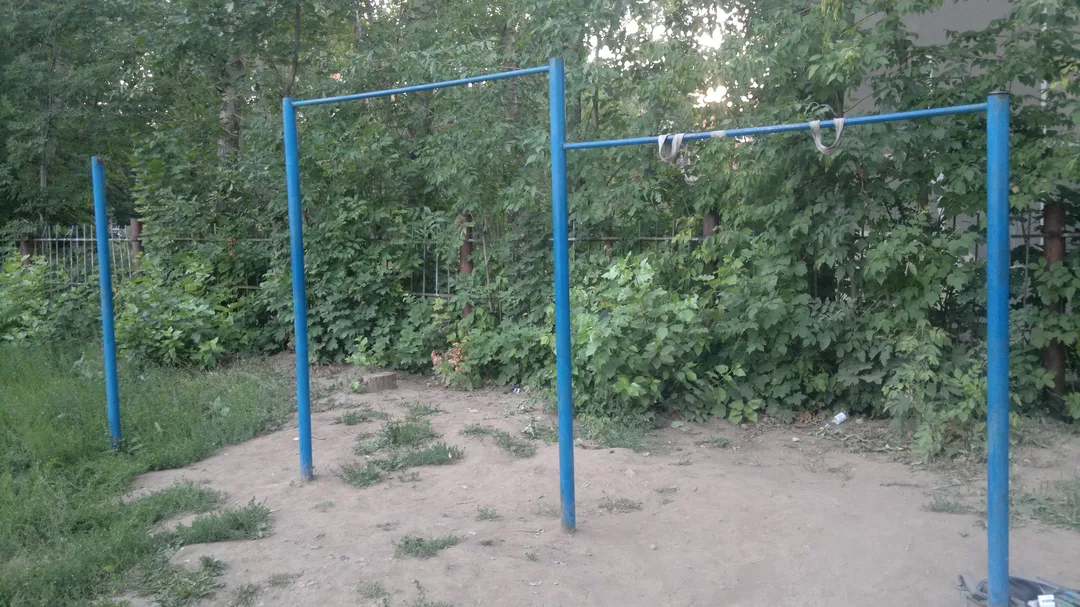 Monkey bar presso Calisthenics Park at 6-я линия, Рязань – foto 3 di 4