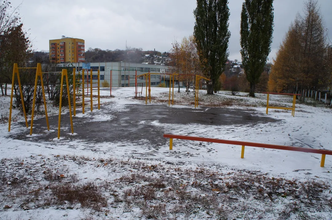 Monkey bar presso Calisthenics Park at улица Кижеватова, городской округ Пенза – foto 3 di 5