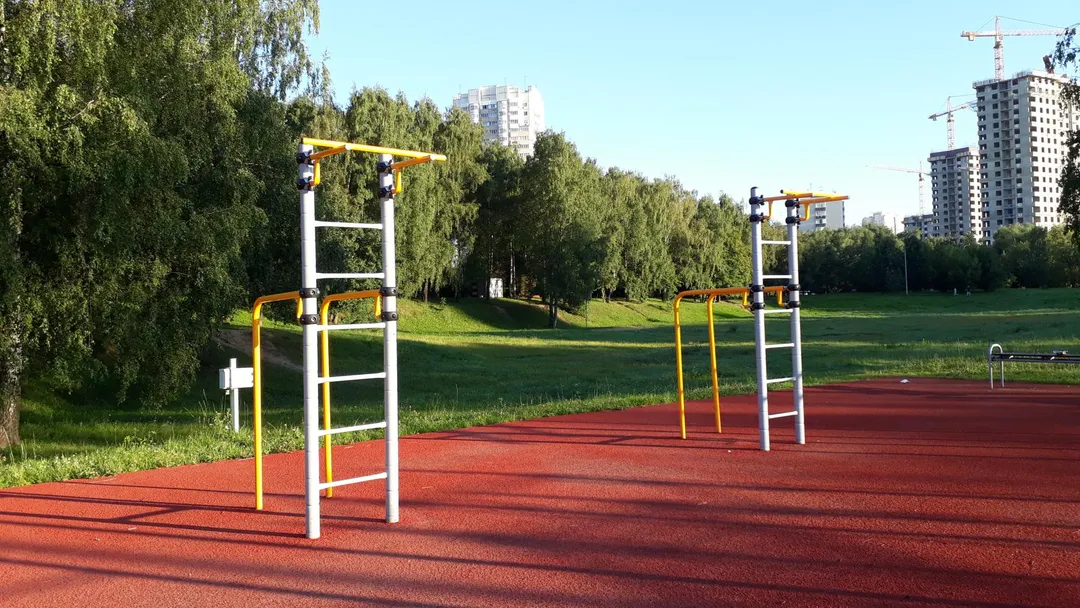 Бруси на майданчику Calisthenics Park at аллея Ветеранов, Москва – фото 2 з 11