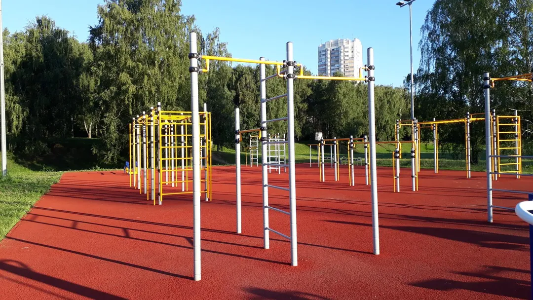 Бруси на майданчику Calisthenics Park at аллея Ветеранов, Москва – фото 9 з 11