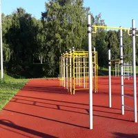 Calisthenics Park at аллея Ветеранов, Москва - thumbnail 9