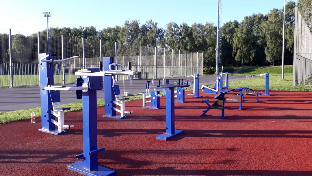 Шведська стінка на майданчику Calisthenics Park at аллея Ветеранов, Москва – фото 11 з 11