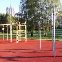 Calisthenics Park at аллея Ветеранов, Москва - thumbnail 10