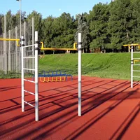 Calisthenics Park at аллея Ветеранов, Москва - thumbnail 5