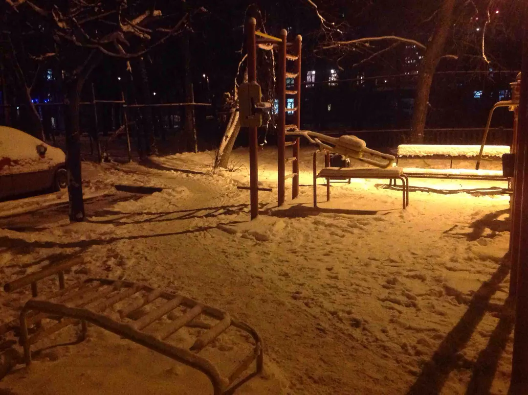 Bară de tracțiuni la Calisthenics Park at 11-я Парковая улица, Москва #wp2156 – fotografia 1 din 3