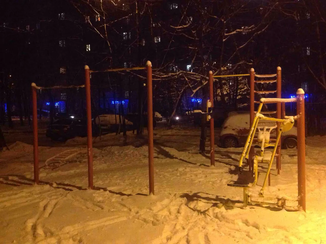 Bare paralele la Calisthenics Park at 11-я Парковая улица, Москва #wp2156 – fotografia 2 din 3