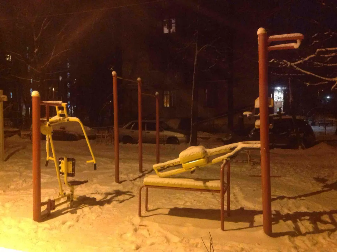 Spalier la Calisthenics Park at 11-я Парковая улица, Москва #wp2156 – fotografia 3 din 3