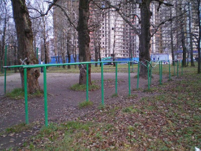 Monkey Bars la Calisthenics Park at Рыбацкий проспект, Санкт-Петербург – fotografia 3 din 3