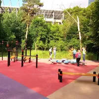Calisthenics Park at ВЭБ Арена, Москва - thumbnail 5