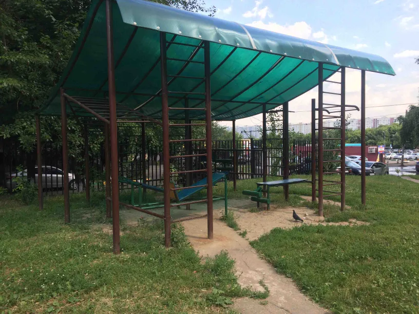Шведська стінка на майданчику Calisthenics Park at Ореховый бульвар, Москва – фото 4 з 4