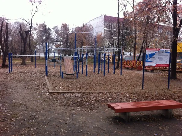 Pull Up Bar at Calisthenics Park at улица Строителей, Самара – photo 1 of 5