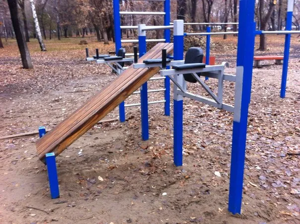 Monkey Bars at Calisthenics Park at улица Строителей, Самара – photo 3 of 5