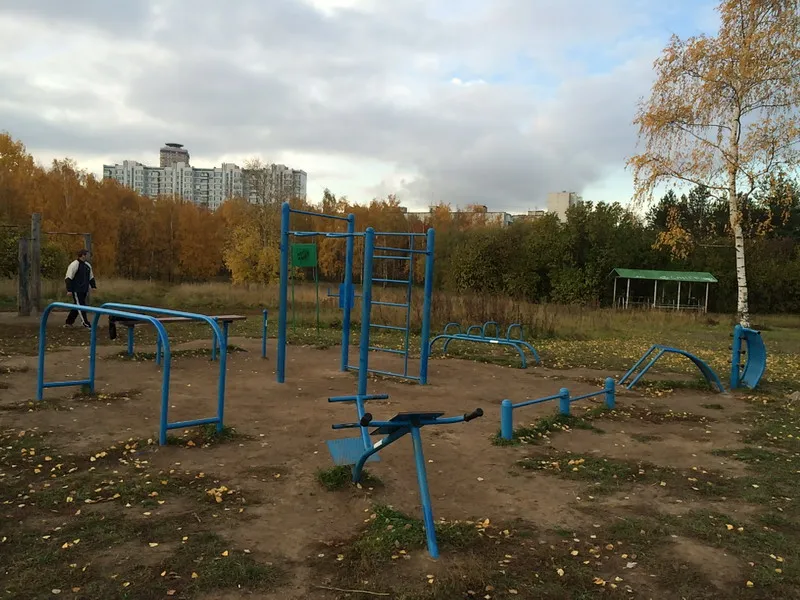 Bară de tracțiuni la Calisthenics Park at аллея Дорога Жизни, Москва #wp2167 – fotografia 1 din 2
