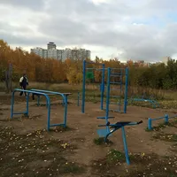 Calisthenics Park at аллея Дорога Жизни, Москва #wp2167 - thumbnail 1