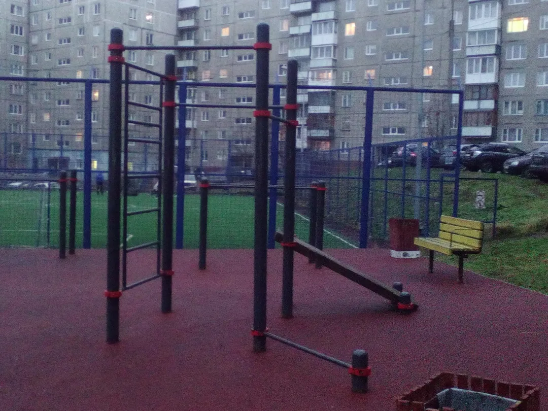 Monkey bar presso Calisthenics Park at улица Маклакова, Мурманск – foto 3 di 4