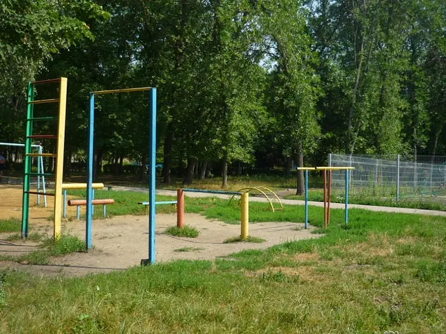 Calisthenics Park at улица Крупской, городской округ Пенза