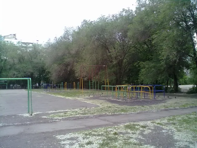 Calisthenics Park at Московское шоссе, Самара