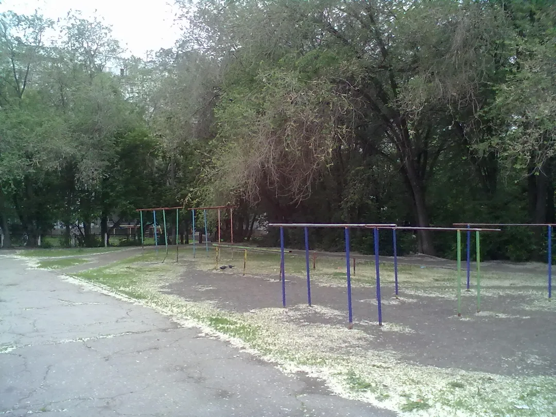 Wall Bars at Calisthenics Park at Московское шоссе, Самара – photo 4 of 4