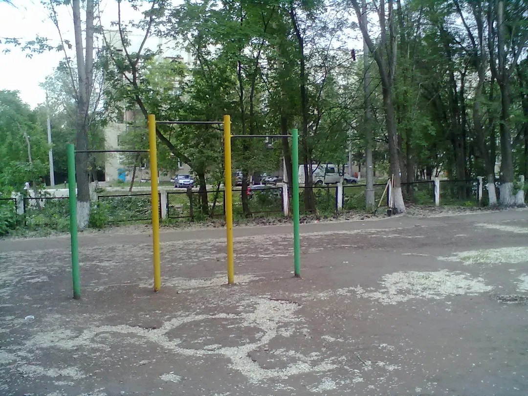 Monkey Bars at Calisthenics Park at Московское шоссе, Самара – photo 3 of 4