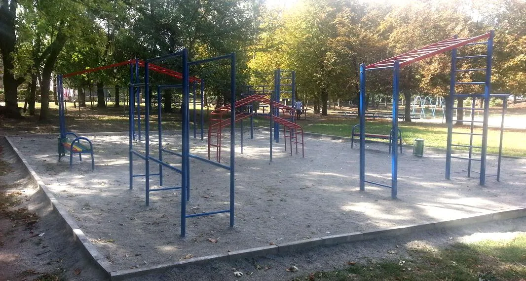 Espalier à Calisthenics Park at Чумаченка вулиця, Запоріжжя – photo 4 sur 4