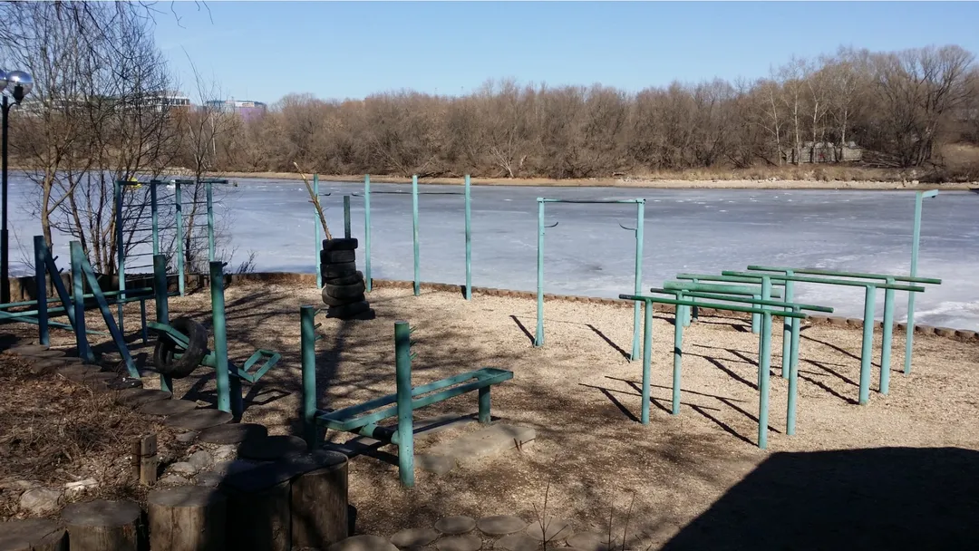 Barres de singe à Calisthenics Park at улица Свободы, Москва #wp2185 – photo 7 sur 8